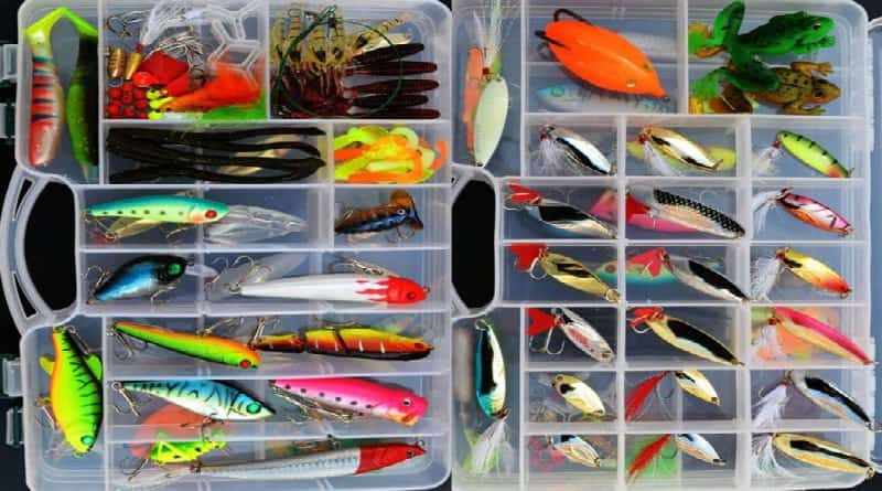 Un Elemento Importante Para La Pesca: La Carnada - Mike's Fishing & Tours