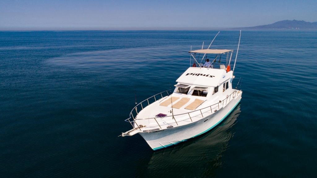 barcos en puerto vallarta